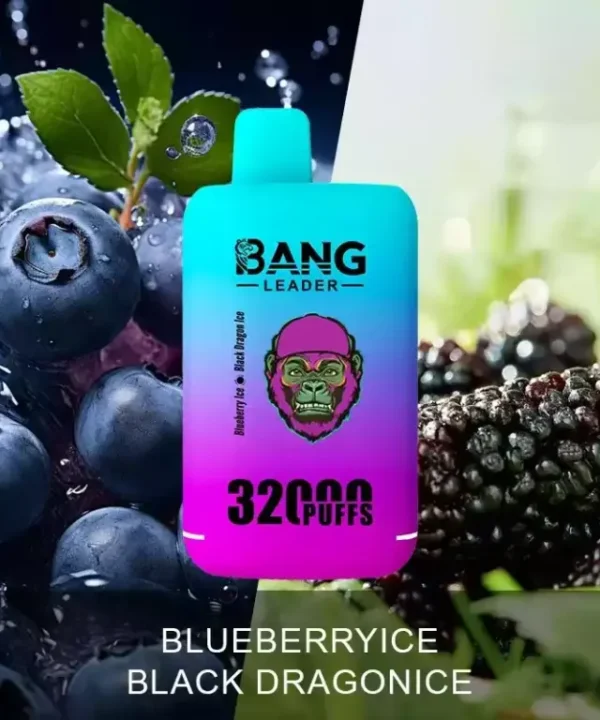 Alternative view of BANG LEADER 32000 Puffs Dual Tastes Disposable Vape Bulk Buy Wholesale