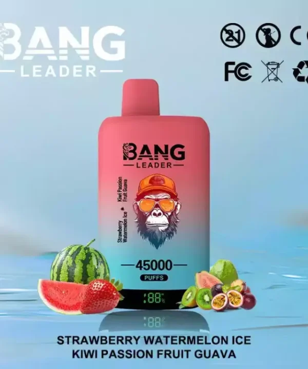 Alternative view of BANG LEADER 45000 Puffs 45K Dual Option Disposable Vape Bulk Buy Wholesale