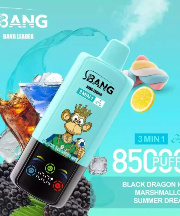 Alternative view of BANG LEADER 85000 Puffs 3-in-1 Disposable Vape Bulk Buy Wholesale