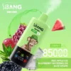BANG LEADER 85000 hulgimüük
