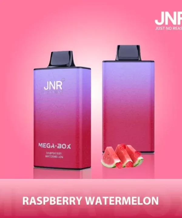 Alternative view of JNR MEGA BOX 25000 Puffs Dual Mesh 25K Wholesale Rechargeable Disposable Vapes