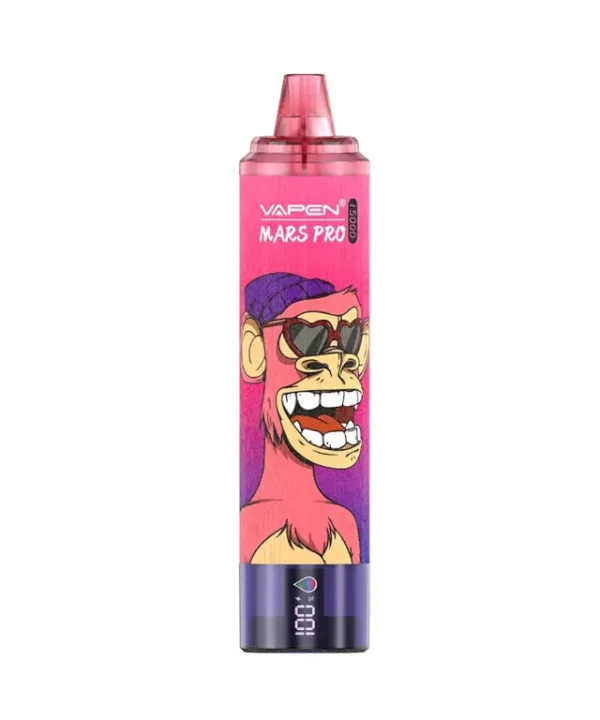 Rechargeable Disposable Vape Estonia