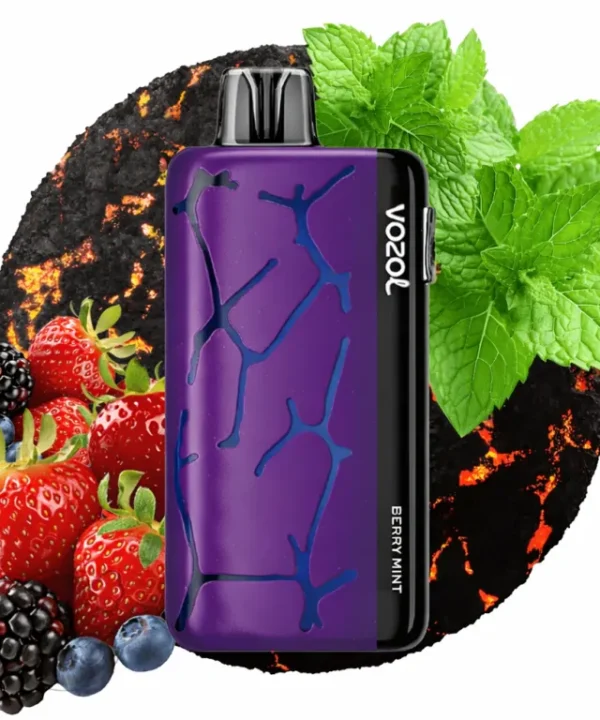 Vozol Neon 45000 wholesale vape Baltic market