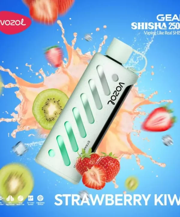 Vozol Gear Shisha dual mesh vape Baltic Vape hulgimüük