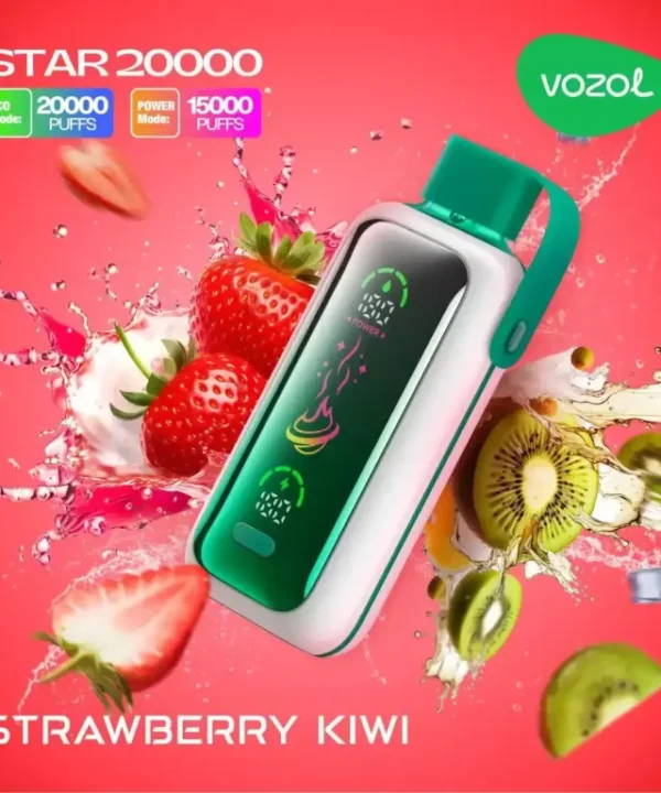 Vozol Star 20000 USB Type C Rechargeable Vape