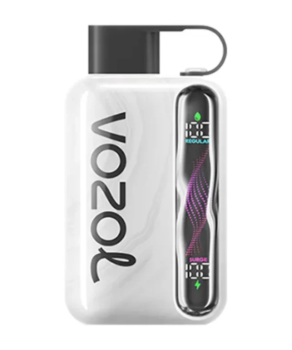 Vozol Star 40000 rechargeable disposable vape