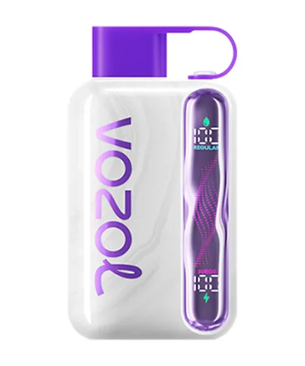 Vozol Star 40K wholesale disposable vape Europe