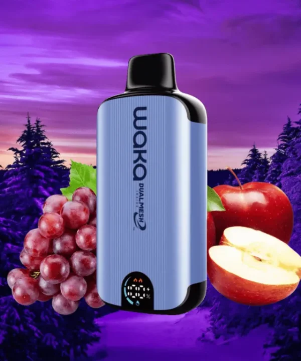 WAKA soPro DM8000i vape